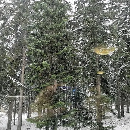 1 Iceberg * Borovets