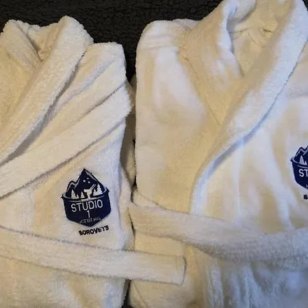 1 Iceberg * Боровец