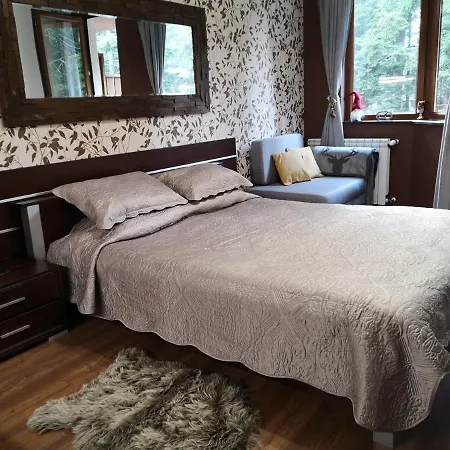 1 Iceberg * Боровец