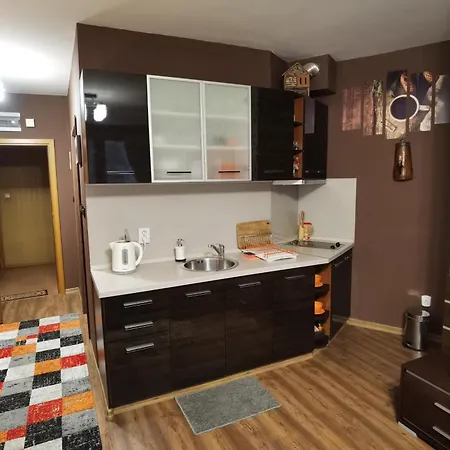 Lägenhet 1 Iceberg Borovets