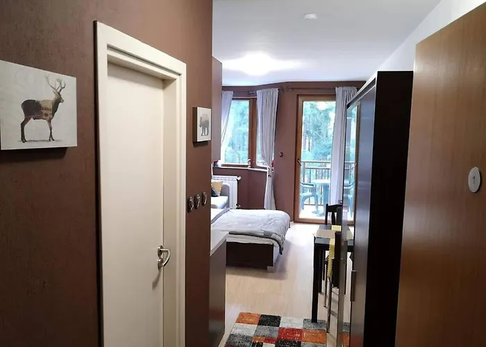 Apartmán 1 Iceberg *